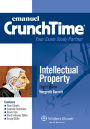 CrunchTime: Intellectual Property / Edition 3