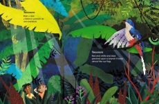 Alternative view 8 of HaiCuba/HaiKuba: Haikus about Cuba in Spanish and English