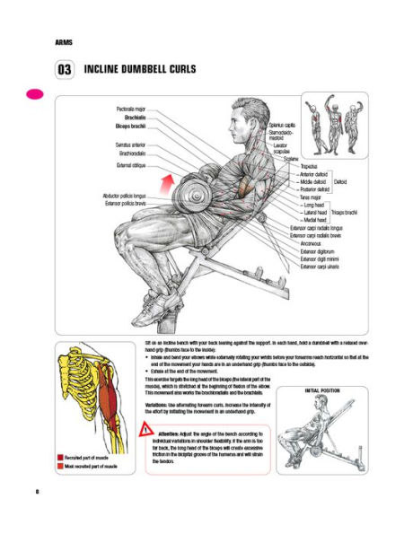 Strength Training Anatomy (Third Edition) / Edition 3