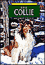 The Collie