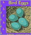Bird Eggs