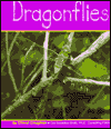 Dragonflies