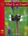 What Is an Insect?