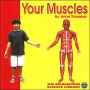 Your Muscles