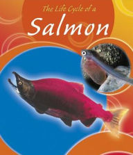 The Life Cycle of a Salmon