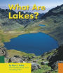 What Are Lakes?