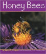 Honey Bees