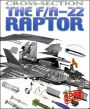 The F/A-22 Raptor