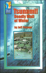 Tsunami!: Deadly Wall of Water