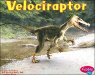 Velociraptor