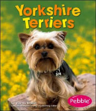 Yorkshire Terriers