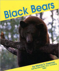 Black Bears