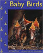 Baby Birds
