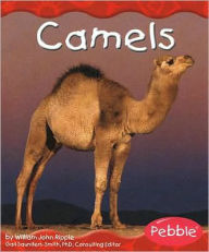 Camels