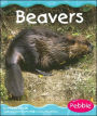 Beavers