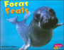 Focas/Seals