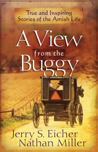 Title: A View from the Buggy: True and Inspiring Stories of the Amish Life, Author: Jerry S. Eicher
