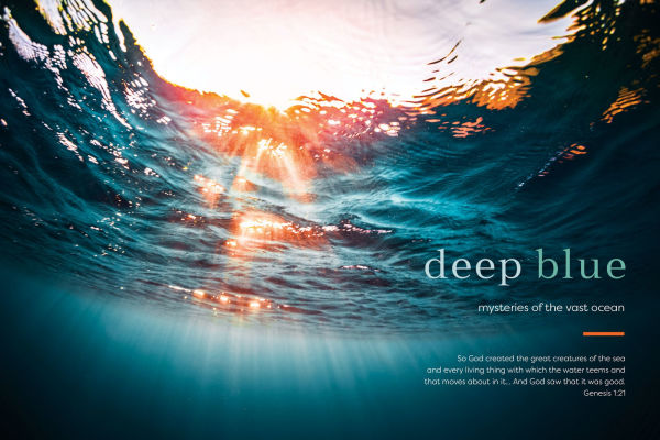By the Sea: Glimpses of Eternity, Reflections of Simple Hope
