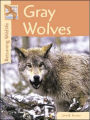 Gray Wolves