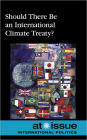 Should There Be an International Climate Treaty?