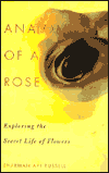 Anatomy Of A Rose: Exploring The Secret Life Of Flowers