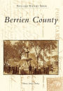 Alternative view 2 of Berrien County