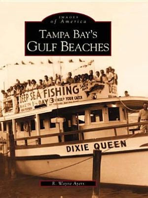 Tampa Bay's Gulf Beaches