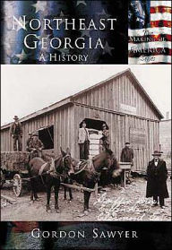 Northeast Georgia: A History (Making of America Series)