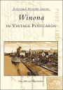 Winona In Vintage Postcards