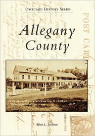Title: Allegany County, Author: Albert L. Feldstein