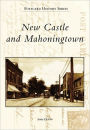 New Castle and Mahoningtown, Pennsylvania (Postcard History Series)