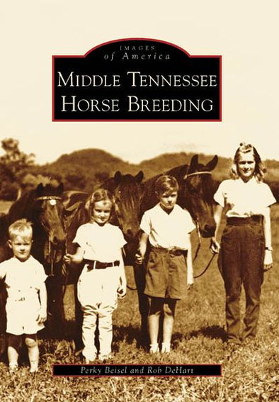Middle Tennessee Horse Breeding