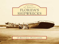 Title: Florida's Shipwrecks (Postcards of America Series), Author: Michael Barnette