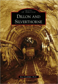 Title: Dillon and Silverthorne, Author: Roy Goodliffe Ph. D.