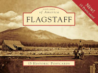 Title: Falgstaff, Arizona (Postcard Packet Series), Author: James E. Babbitt