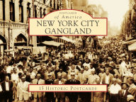 Title: New York City Gangland, Author: Arthur Nash