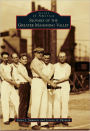 Slovaks of the Greater Mahoning Valley, Ohio (Images of America Series)