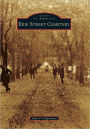 Erie Street Cemetery, Ohio (Images of America Series)