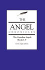 The Angel Chronicles: The Guardian Angels
