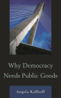 Why Democracy Needs Public Goods