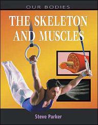 The Skeleton and Muscles