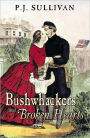 Bushwhackers and Broken Hearts: Letters from Missouri During the Civil War