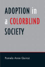 Adoption in a Color-Blind Society