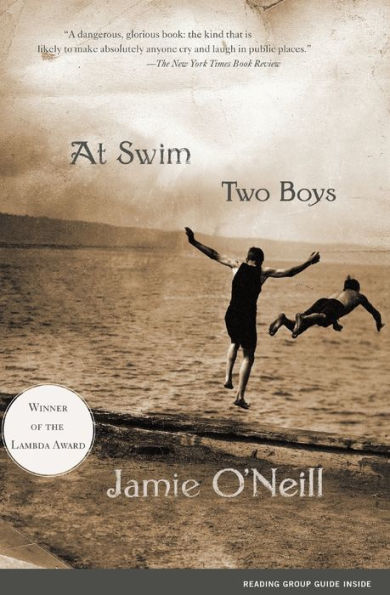 At Swim, Two Boys: A Novel