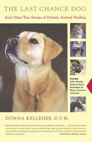 The Last Chance Dog: and Other True Stories of Holistic Animal Healing