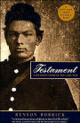 Testament: A Soldier's Story of the Civil War