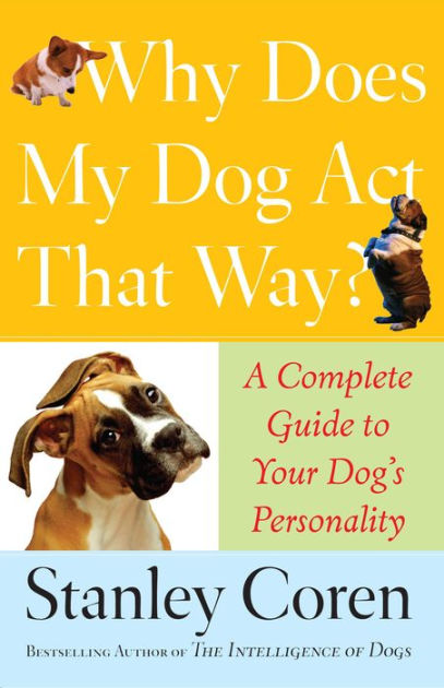 why-does-my-dog-act-that-way-a-complete-guide-to-your-dog-s