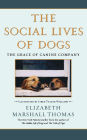 The Social Lives Of Dogs