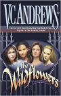 Wildflowers: Misty/Star/Jade/Cat