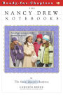 The Snow Queen's Surprise (Nancy Drew Notebooks #46)